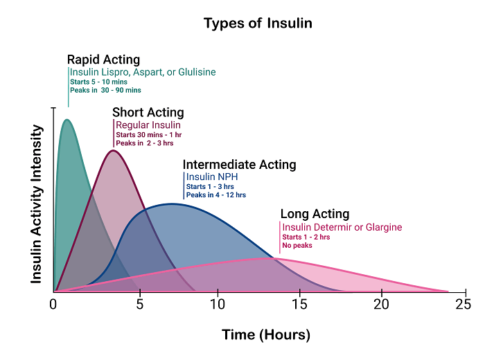 insulin-types انواع انسولین - جراحی
